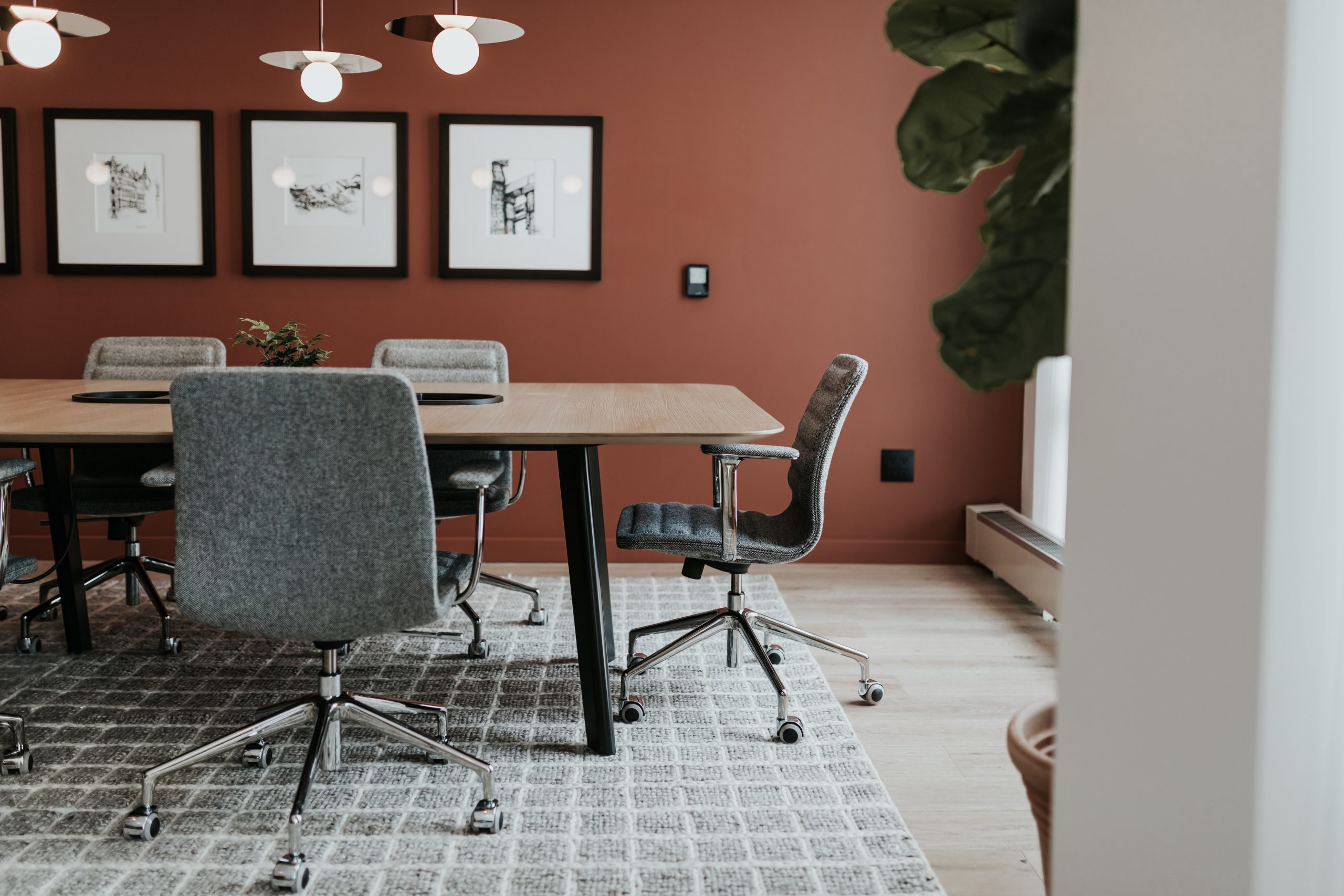 Meeting room chairs and carpet